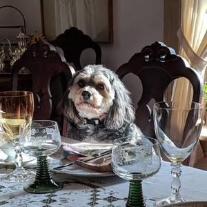 Meet your Posher, Mary